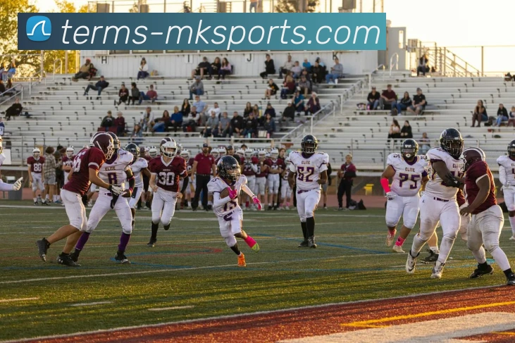 多媒体互动体验